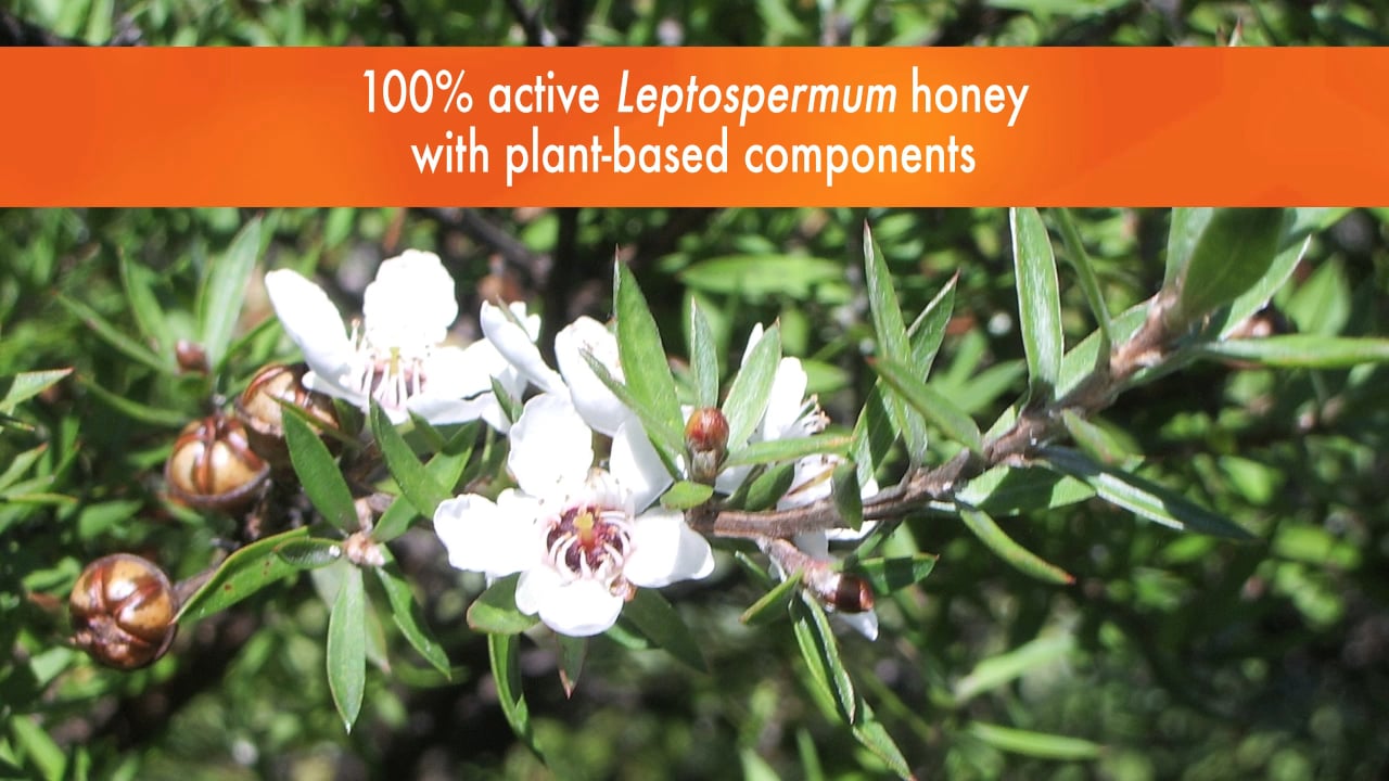 Medihoney (Warning Graphic)